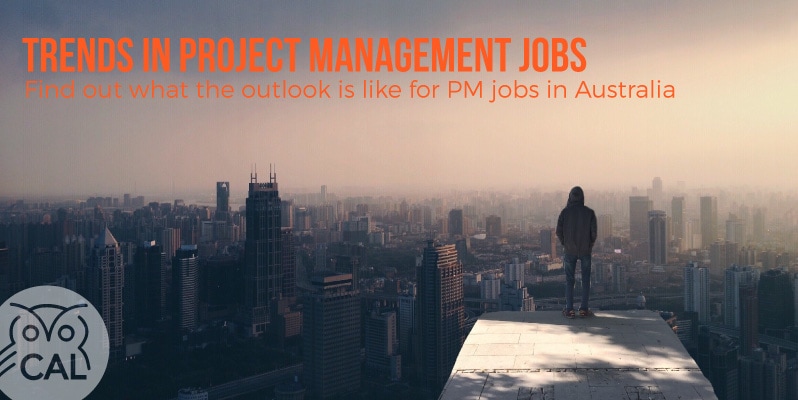 project management jobs
